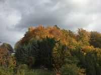 Aussicht_Wald_Herbst01